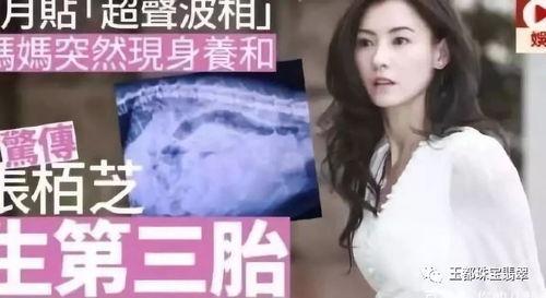 娱乐圈吃瓜张柏芝,揭秘明星背后的真实生活  第2张